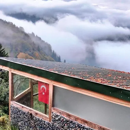 Homestay Habook Butik Rize