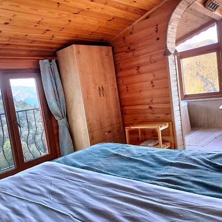 Habook Butik Homestay